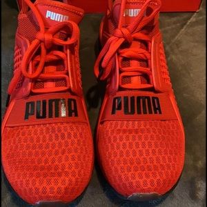 Puma Ignites!😎